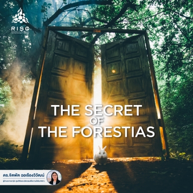 The Secret of The Forestias