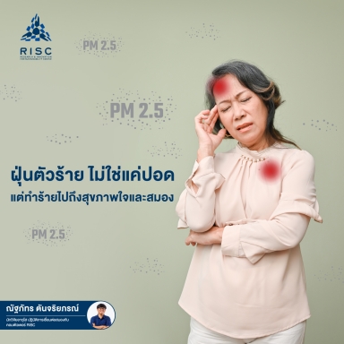 PM2.5 Is Even Worse Than You Thought… It Also Harms Your Brain!