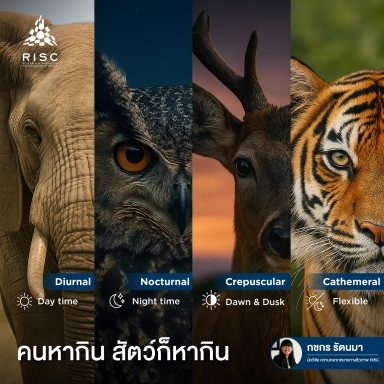 Humans find ways to live. So do animals