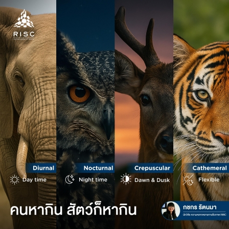Humans find ways to live. So do animals