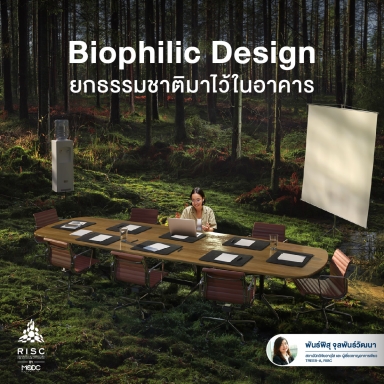 Biophilic Design: Living In Harmony with Nature