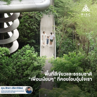 พื้นที่สีเขียวและธรรมชาติ “เพื่อนเงียบๆ” ที่คอยโอบอุ้มใจเรา