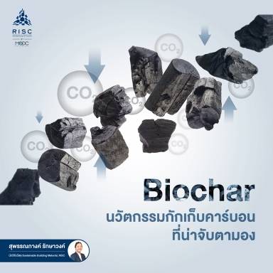 How “Biochar” Captures Carbon