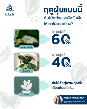 Which Trees Protect You Best from Pollution?