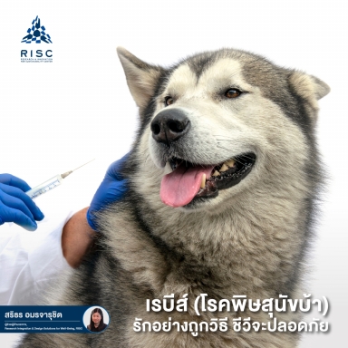 เรบีส์ (โรคพิษสุนัขบ้า) รักอย่างถูกวิธี ชีวีจะปลอดภัย