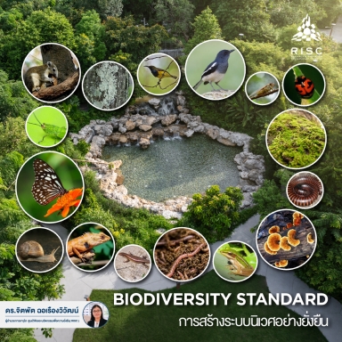 ฺBiodiversity Standard การสร้างระบบนิเวศอย่างยั่งยืน