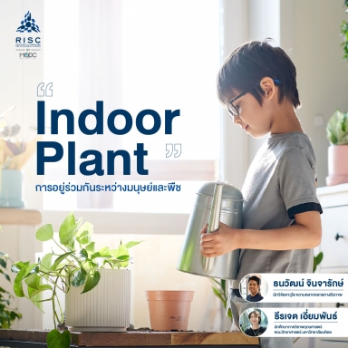 “Indoor plant” การอยู่ร่วมกันระหว่างมนุษย์และพืช