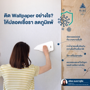 ติด Wallpaper อย่างไร? ให้ปลอดเชื้อรา ลดภูมิแพ้