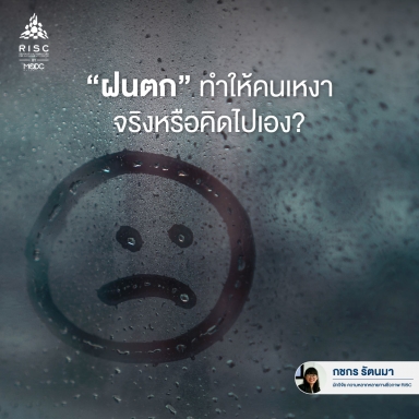 "ฝนตก" ทำให้คนเหงา จริงหรือคิดไปเอง?