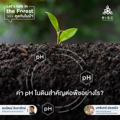 ค่า pH ในดินสำคัญต่อพืชอย่างไร?​