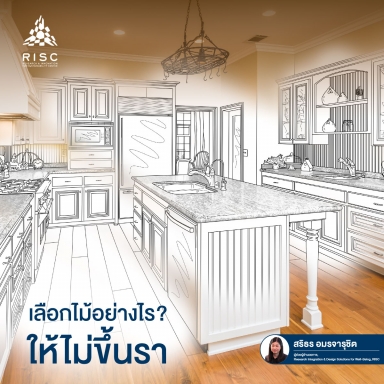 เลือกไม้อย่างไร? ให้ไม่ขึ้นรา